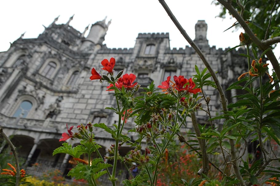 Quinta Da Regaleira Sintra Portugal Arquitectura Planta Estructura