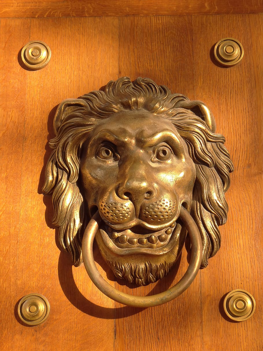 Door Knocker The Head Of A Lion The Door Wooden Entrance Open