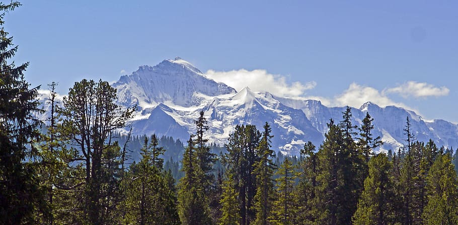 suiza virgen cuatro mil nieve montaña madera cumbre de la montaña