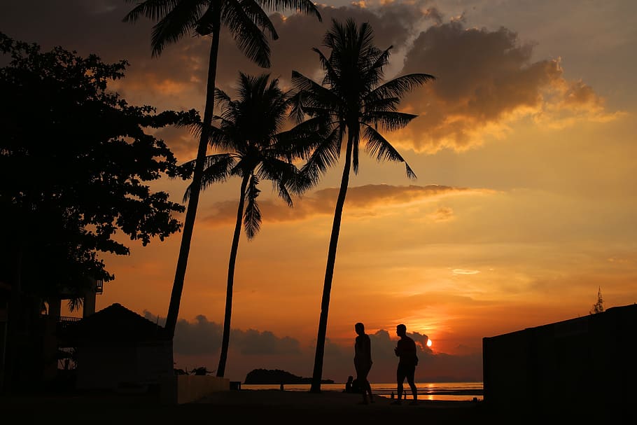 Puesta De Sol Silueta De Dos Personas Caminando Bajo Los Cocoteros