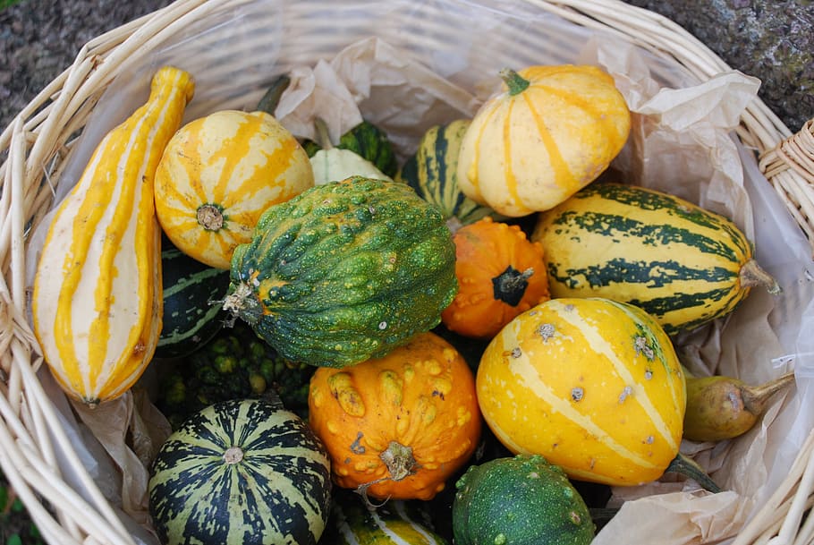 Calabazas V Spera De Todos Los Santos Adorno De Jard N Comida Y