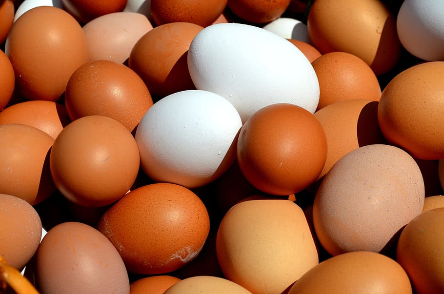 ภาพถ่ายระยะใกล้ของไข่สีส้มและสีขาว, ไข่, ไข่ไก่, ปิด, ตะกร้าสบาย, ไข่สีน้ำตาล, ไข่ดิบ, ไข่สีน้ำตาล, อาหาร, ไข่จำนวนมาก, Hofladen, ไข่อินทรีย์, เกษตรกรรม, ผลิตภัณฑ์จากธรรมชาติ, โภชนาการ, เปลือกไข่, กินตลาดตลาดในท้องถิ่นของเกษตรกรökoeier, วอลล์เปเปอร์ HD