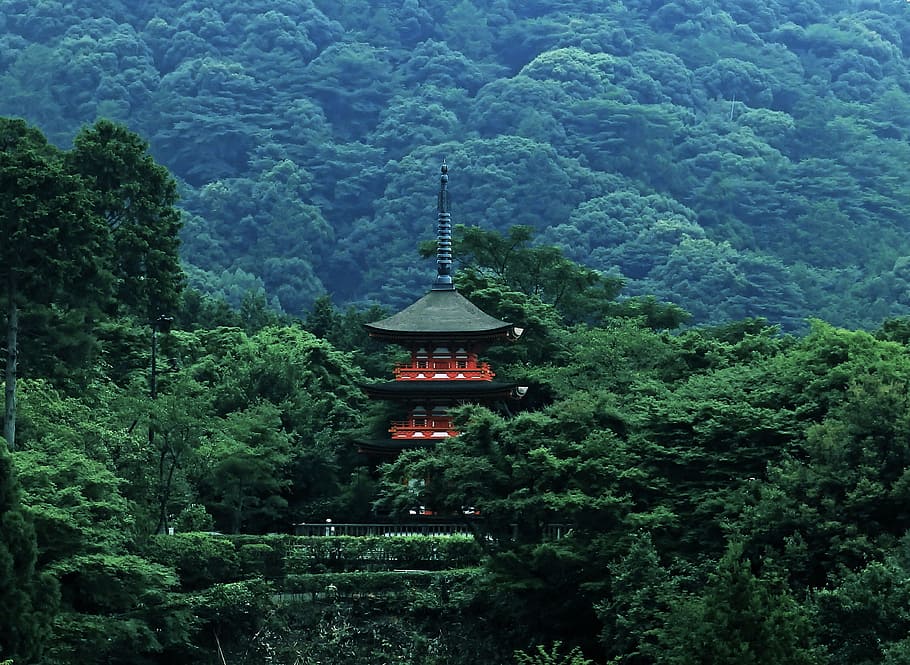 วัดสีดำและสีแดงในป่าเจดีย์ญี่ปุ่นป่าเอเชียวัดป่า, วอลล์เปเปอร์ HD