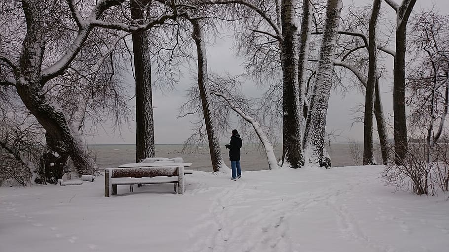 Скамейка в парке зимой