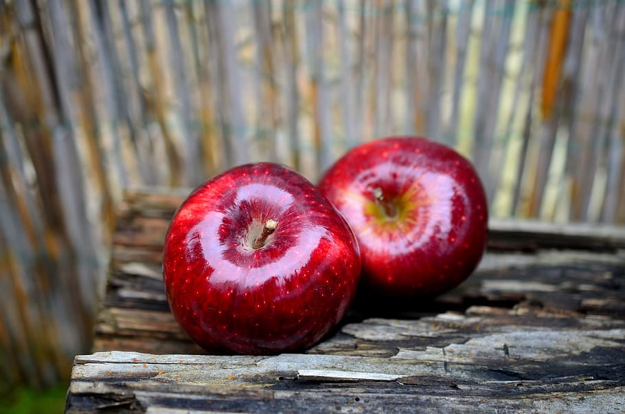 ภาพระยะใกล้ของแอปเปิ้ลแดงสองลูกแอปเปิ้ลแอปเปิ้ลแดงผลไม้สีแดงวิตามินมีสุขภาพดีสุก frisch กินสารอาหาร, วอลล์เปเปอร์ HD