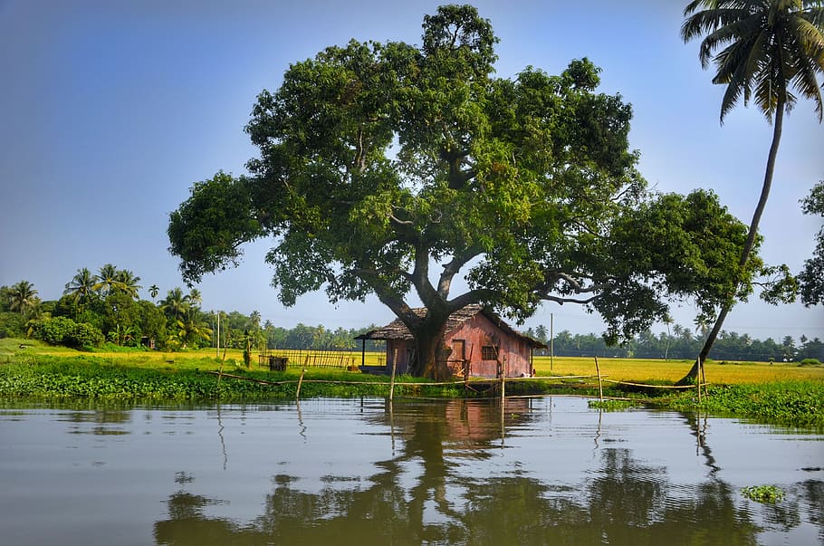 บ้านไม้สีน้ำตาลข้างต้นไม้ใบสีเขียวใกล้แหล่งน้ำตอนกลางวัน, Alleppey, คลอง, Kerala, อินเดีย, บ้าน, ไม้, การสะท้อน, แม่น้ำ, น้ำ, ธรรมชาติ, ต้นไม้, นักท่องเที่ยว, การท่องเที่ยว, เรือนแพ, วอลล์เปเปอร์ HD