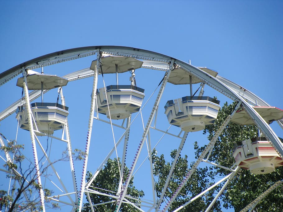 Ferris Wheel In Front of Tree, Ferris Wheel, Front, Tree, blue sky ...