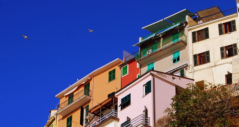 Houses, colors, colorful, manarola, liguria, italy, cinque terre, HD ...