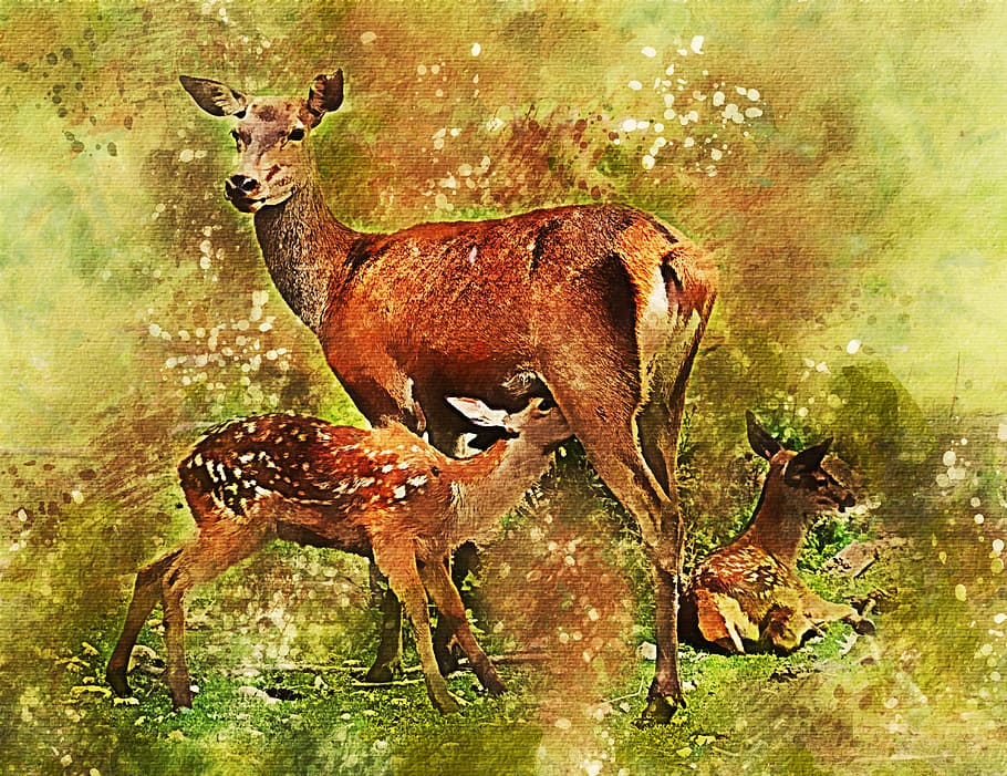 Brown deer painting, fawn, deer, twins, living nature, animals, cute ...