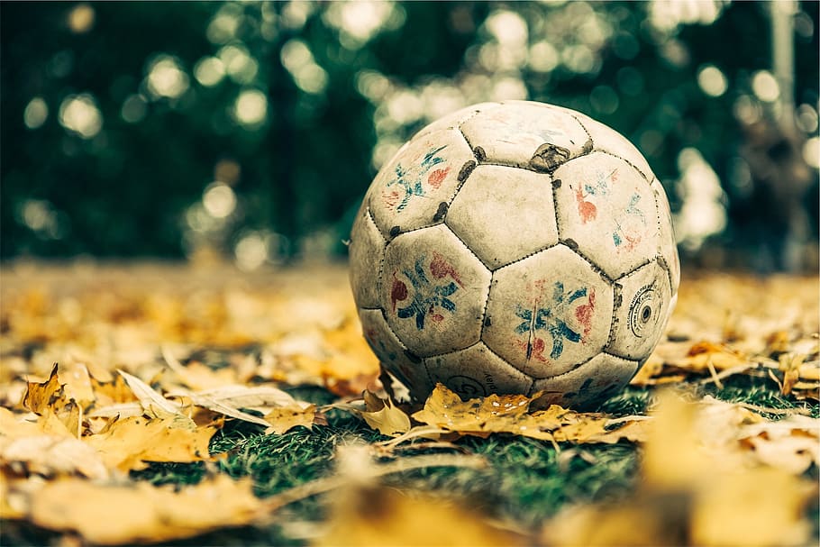 โฟกัสภาพของลูกฟุตบอลสีขาวบนใบไม้, ฟุตบอล, ลูกบอล, กีฬา, ใบไม้, หญ้า, พื้นดิน, วอลล์เปเปอร์ HD