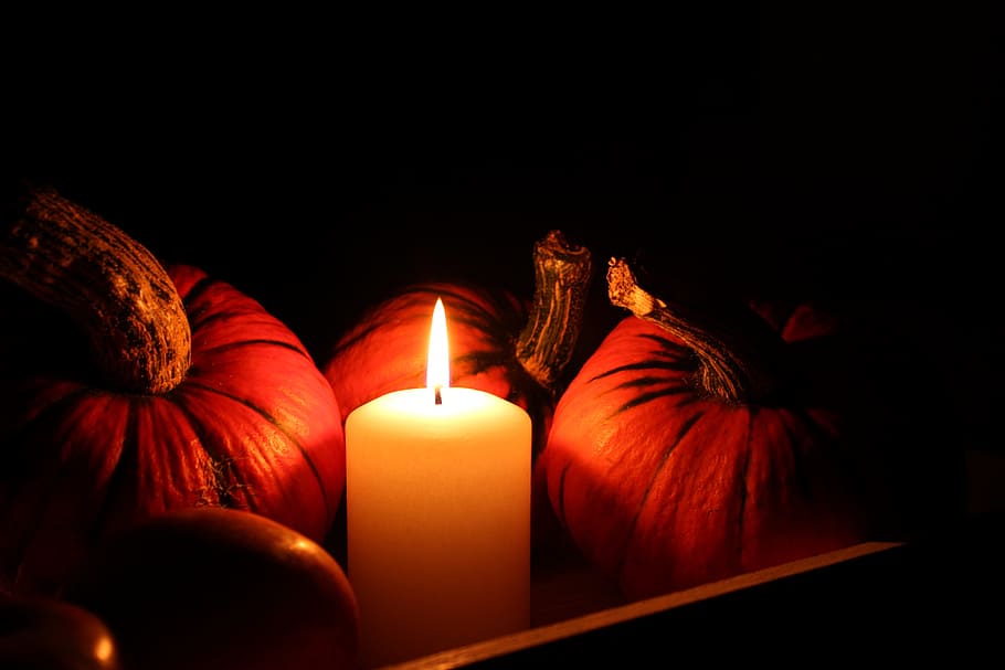 Lighted Pillar Candle Beside Pumpkins Pumpkins Candle Still Life Halloween HD Wallpaper