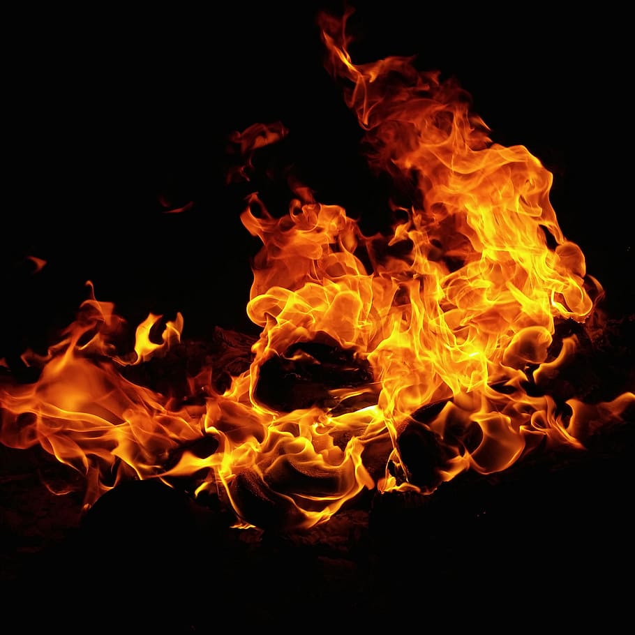 Photograph of a Burning Fire, blaze, bonfire, burn, burning, burnt, campfire, danger, dark, evening, fire, fireplace, firewood, flame, flammable, heat, hot, ignite, illuminated, inferno, luminescence, night, warm, warmly, wildfire, HD wallpaper