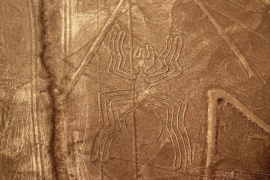 โลโก้แมงมุมเปรูภาพเกาแมงมุมที่ดีที่สุดที่ราบสูง nazca, วอลล์เปเปอร์ HD