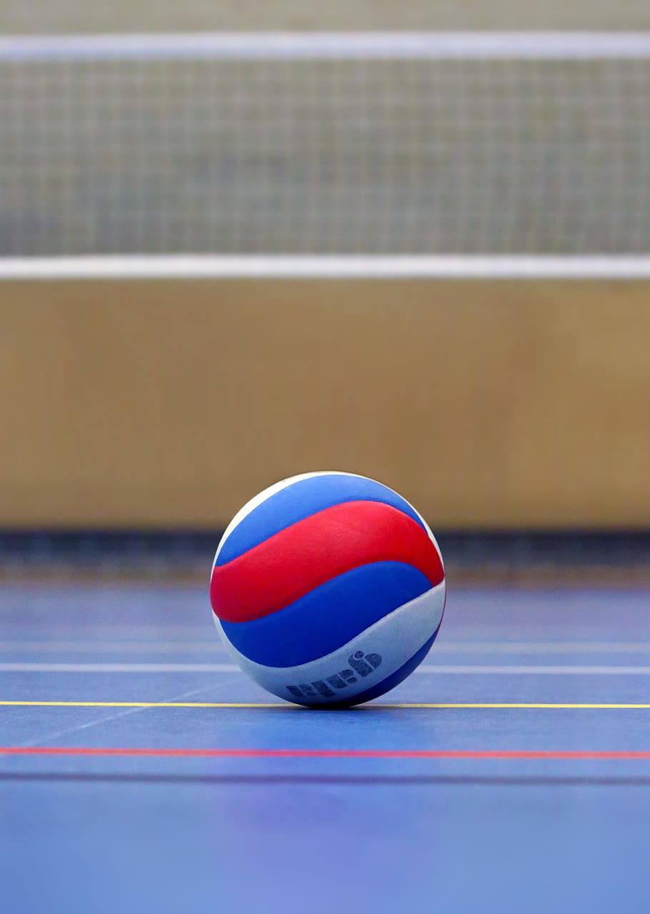 สีน้ำเงิน, ขาวและลูกวอลเลย์บอลสีแดงใกล้กับตาข่ายสีขาวบนพื้น, วอลเลย์บอล, ลูกบอล, สนาม, สนามวอลเลย์บอล, กีฬา, วอลเลย์, กีฬาบอล, ทีมกีฬา, เส้น, สนามเด็กเล่น, การแข่งขัน, การฝึกอบรม, ห้องโถงกีฬา, ทีม, ลูกหนัง, กีฬาประเภททีม, แชมป์, เครือข่าย, สปอร์ต, ห้องโถง, วอลเลย์บอลเน็ต, วัตถุชิ้นเดียว, ในบ้าน, กีฬาการแข่งขัน, ไม่มีคน, วอลล์เปเปอร์ HD, วอลเปเปอร์โทรศัพท์