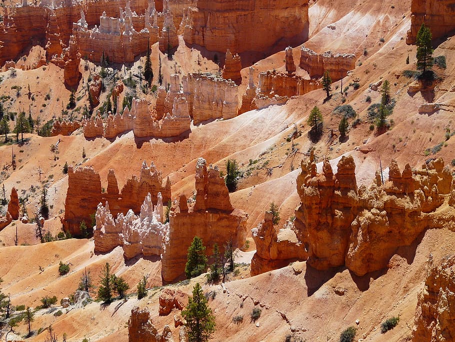 Bryce Canyon, อุทยานแห่งชาติ Bryce Canyon, ยูทาห์, สหรัฐ, สหรัฐอเมริกา, หุบเขา, หินทราย, พีระมิดร็อค, Hoodoo, ที่ราบสูงพอนโซกุน, Paunsaugunt, การกัดเซาะ, แบบฟอร์มการกัดเซาะ, ภูมิประเทศ, ธรรมชาติ, สีแดง, อุทยานแห่งชาติ, หิน, วอลล์เปเปอร์ HD