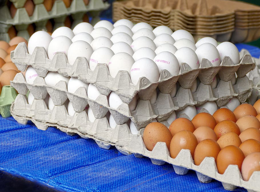 ไข่, ไข่ไก่, กล่องไข่, ไข่จำนวนมาก, บรรจุภัณฑ์ไข่, ไข่สีน้ำตาล, ผลิตภัณฑ์จากธรรมชาติ, ตลาด, แผงลอย, ผู้ผลิต, Hofladen, เกษตรกรรม, กระดาษแข็ง, ไข่ดิบ, ไข่สีน้ำตาล, โภชนาการ, อาหาร, ตลาดในพื้นที่ของเกษตรกร, ตัวเอง นักการตลาดการตลาดด้วยตนเองการถ่ายภาพอาหาร, วอลล์เปเปอร์ HD