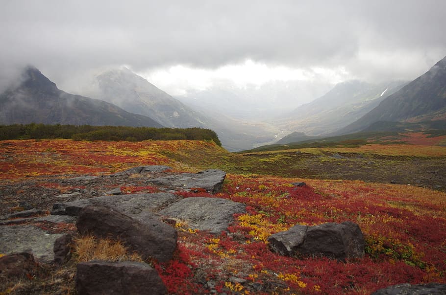 ภาพถ่ายของหินสีเทาล้อมรอบพืชสีแดงและสีส้ม, ภูเขาทุนดรา, ภูเขา, ช่วง, จุดยอด, ภูเขาไฟ, ความสูง, ฤดูใบไม้ร่วง, สีตก, พื้นที่โล่ง, ภูมิประเทศ, ธรรมชาติ, Kamchatka, หิน, การเดินทาง, ตอนเย็น, Alhaji, Rowan, หุบเขา, ไฮแลนด์ , ภูมิทัศน์ภูเขา, พลบค่ำ, อากาศไม่ดี, หมอก, ที่ราบสูง, ฝน, ผ่าน, เทือกเขา, วอลล์เปเปอร์ HD