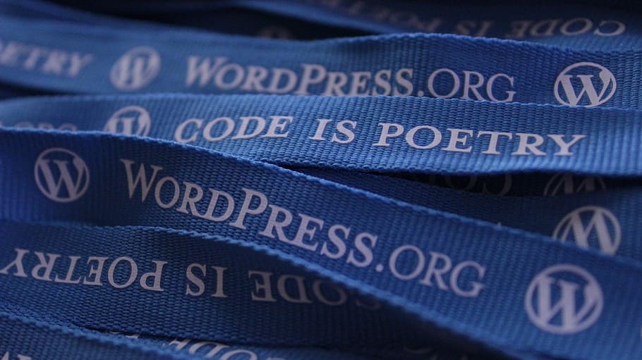 Wordpress.org lanyard, wordpress, lanyards, blog, blogging, blue, logo, code, source code, วอลล์เปเปอร์ HD