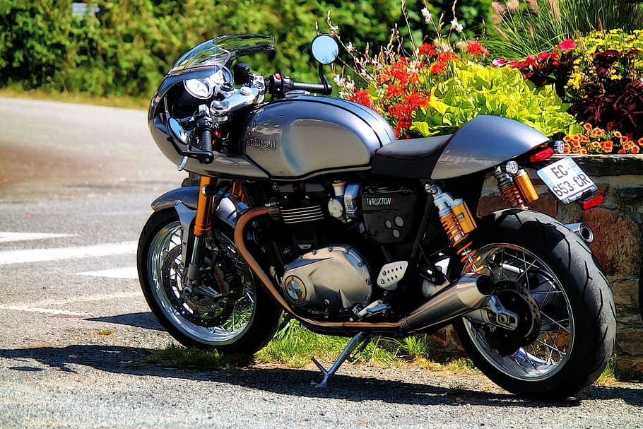 Motorcycle, triumph thruxton, british, parallel-twin, HD wallpaper