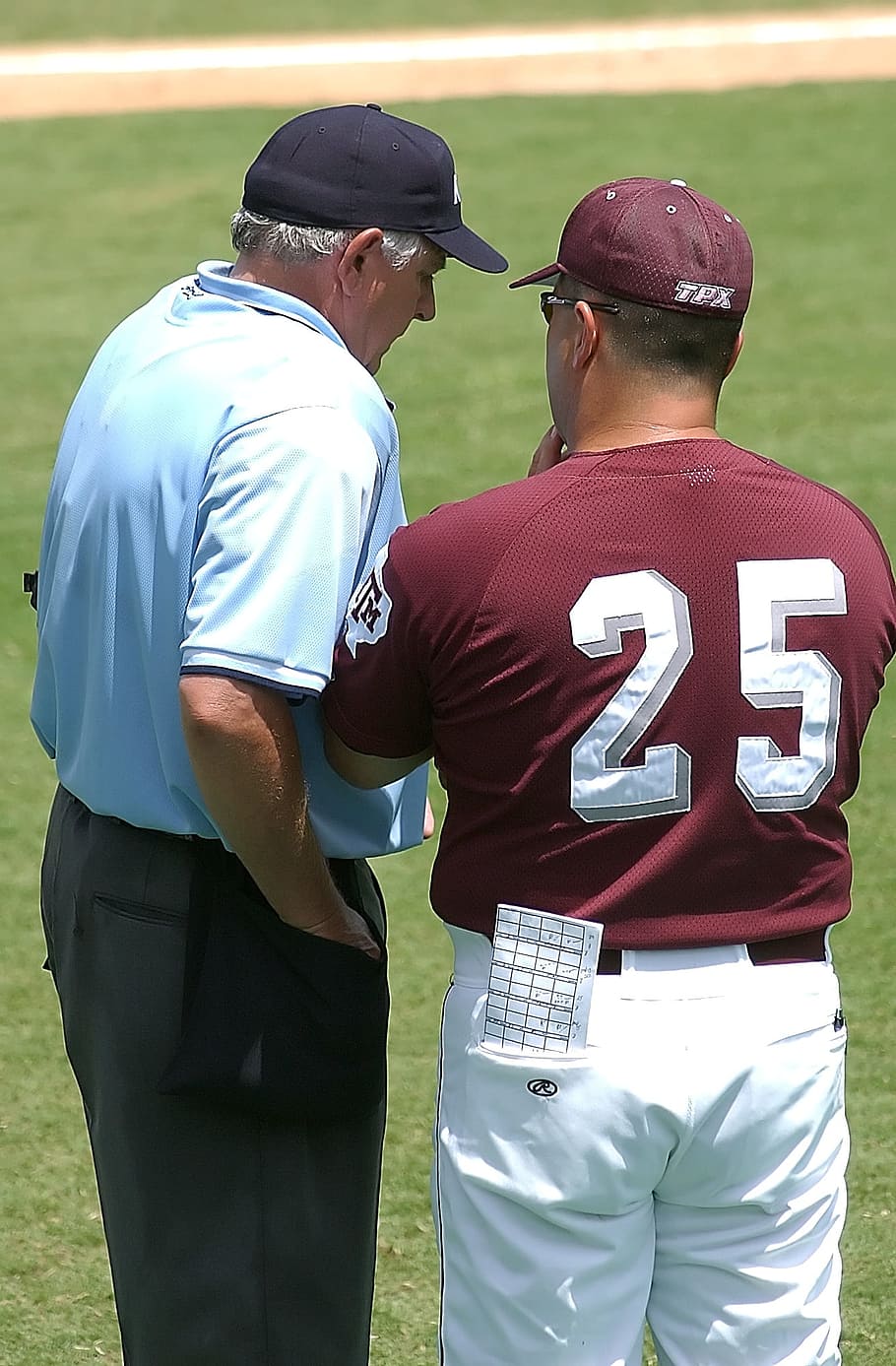 Baseball, umpire, coach, discussion, sport, game, uniform, male ...