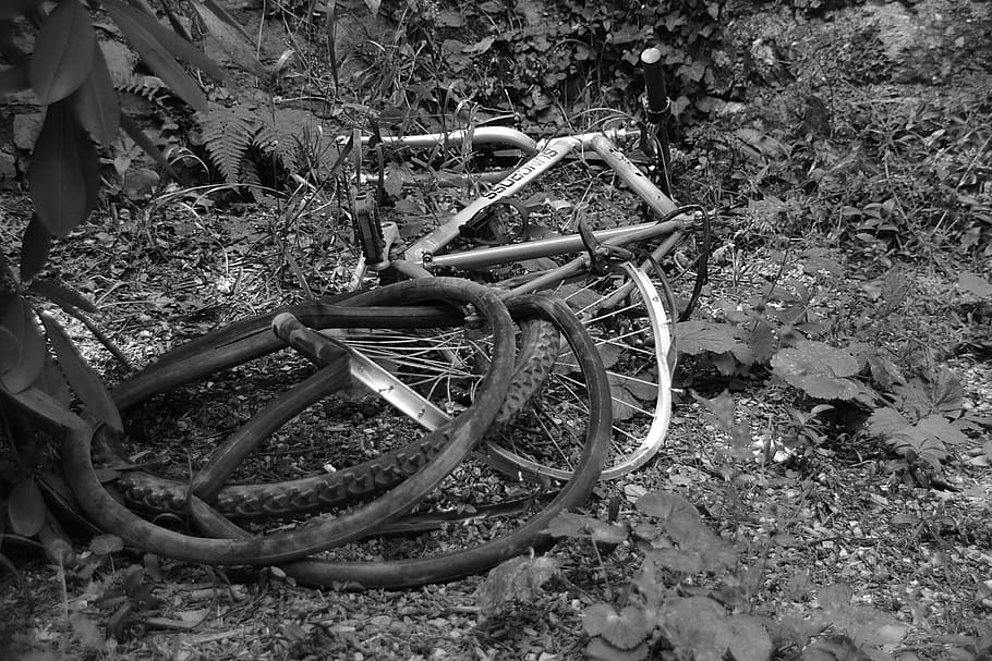 Bike, two wheels, bicycle, black and white, hobbies, transport, pedals ...