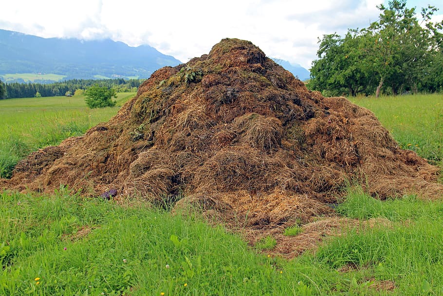 lump-of-soil-dung-compost-heap-rallying-point-crap-waste-farm