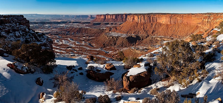 Green Bush on Snowy Mountain, canyon, canyonlands national park, desert ...