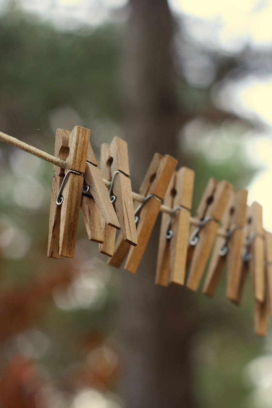clothesline, clothespin, rustic, laundry, line, dry, hang, rope, housework, clean, drying, summer, pin, washing, hanging, work, wash, string, autumn, household, cord, clothes-pin, outdoor, yard, HD wallpaper