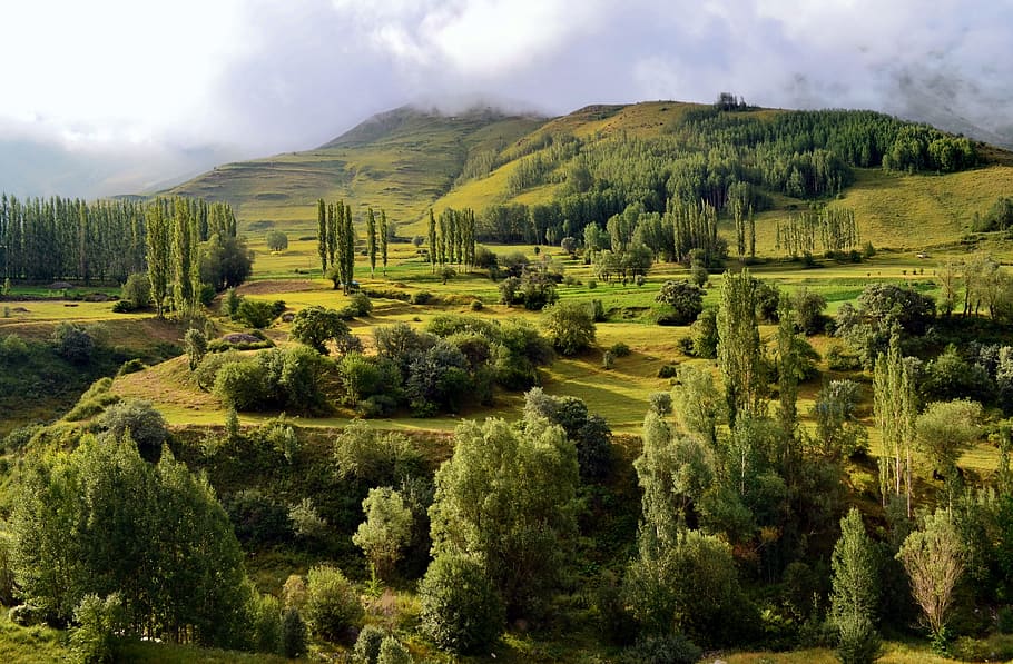 árboles Verdes En Las Montañas Durante El Día Turquía Naturaleza Paisaje Fondo De Pantalla 3998