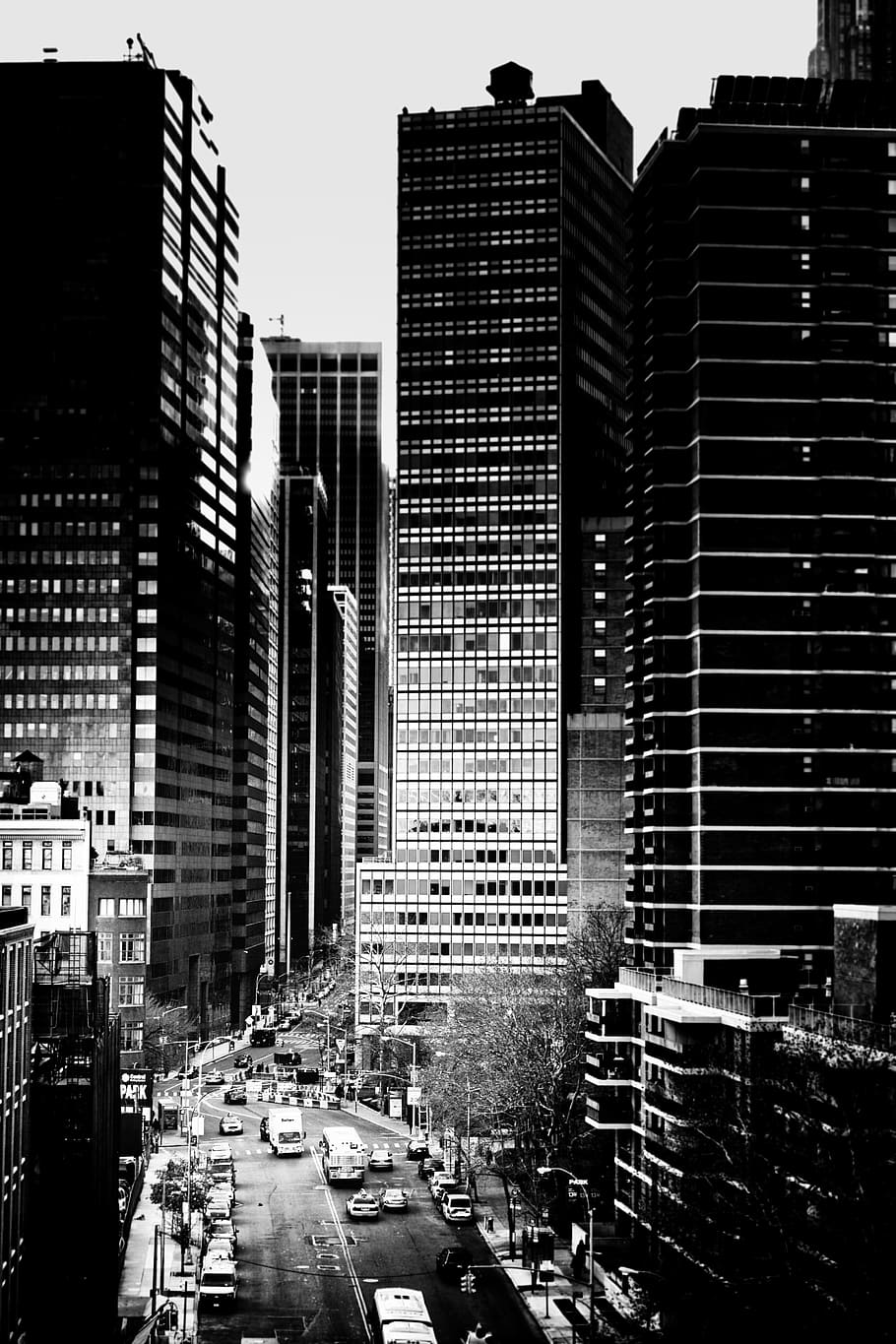 Grayscale photography of buildings, urban, scene, street, road, busy ...