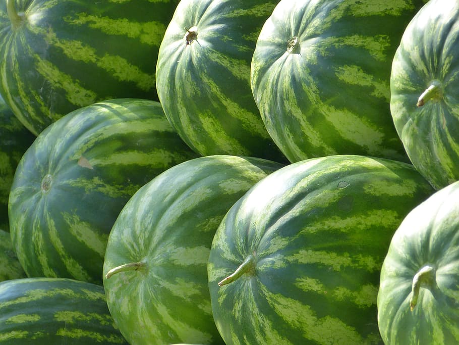 sandía verde, melones, sandías, fruta, verde, comida y bebida, color ...