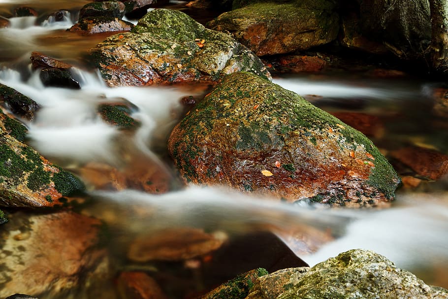 piedras verdes y marrones en el cuerpo de agua, verde, piedra marrón