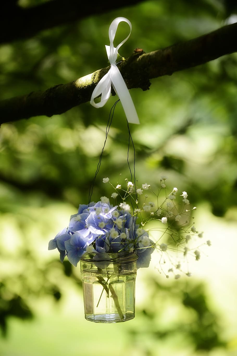 selective focus photograph of blue petaled flowers in clear glass vase hanging on tree branch, flowers, wedding, party, romantic, love, groom, getting married, bouquet, HD wallpaper
