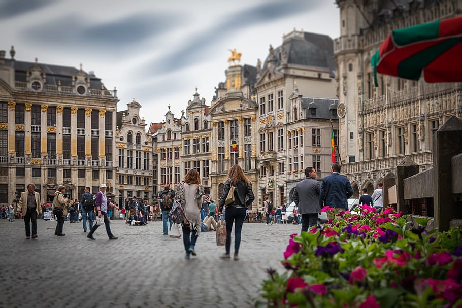 ผู้คนจำนวนมากเดินรายล้อมไปด้วยอาคาร, บรัสเซลส์, grote markt, เบลเยี่ยม, เมืองประวัติศาสตร์, ศูนย์, ศูนย์บรัสเซลส์, บรัสเซลส์เบลเยี่ยม, จัตุรัสหลัก, จัตุรัสบรัสเซลส์, จัตุรัส, จัตุรัสประวัติศาสตร์, สถานที่ที่ยิ่งใหญ่, ศาลากลางบรัสเซลส์, ศูนย์ประวัติศาสตร์, บรัสเซลส์ grote markt , ตรอก, ถนนบรัสเซลส์, ดอกไม้, ตรอกในบรัสเซลส์, เดินเล่น, ผู้คนในบรัสเซลส์, วอลล์เปเปอร์ HD