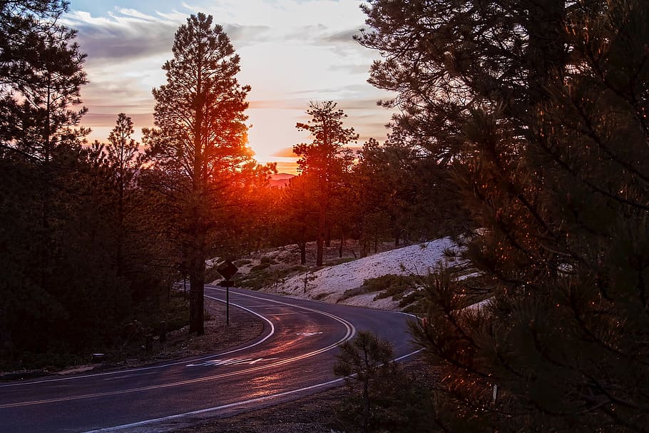 Fotografía De Lapso De Tiempo De La Carretera De Curva Ciega Bajo El ...