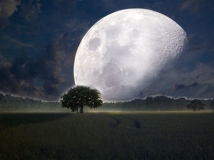 พระจันทร์เต็มดวงและภาพเงาของกราฟิกต้นไม้, ภาพเงา, ต้นไม้, ตอนกลางคืน, Kosmus, จักรวาล, ทางช้างเผือก, ท้องฟ้ายามค่ำ, ลึกลับ, ดาราศาสตร์, อวกาศ, ท้องฟ้าเต็มไปด้วยดวงดาว, ดาว, บรรยากาศ, พื้นที่วิญญาณ, ทั้งหมด, อินฟินิตี้, ไม่มีที่สิ้นสุด, แฟนตาซี, นิยาย sice , การสร้าง, พระเจ้า, ความศักดิ์สิทธิ์, ภาวะฉุกเฉิน, หมอกสุนัขใหญ่, Canis major, ฮับเบิล weltraumteleskop, การตัดต่อภาพ, นิยายวิทยาศาสตร์, นามธรรม, บิ๊กแบง, จักรวาลของโลก, เทห์ฟากฟ้า, จักรวาลจักรวาล, นาซา, กลุ่มดาว, หมอกของดาวเคราะห์, วิทยาศาสตร์, ท้องฟ้า, กาแลคซีเกลียว, ทุ่งหญ้า, ทุ่งหญ้าสีเขียว, ทุ่งดอกไม้, หญ้า, ธรรมชาติ, ดาบหญ้า, ภูมิประเทศ, หญ้า, ฤดูใบไม้ผลิ, สีเขียว, เบ่งบาน, ดอก, พืช, ปลูก, ปิด, สีเหลือง, งาดำ, งาดำ, ดอกป๊อปปี้, สีเหลือง ดอกไม้, ดอกไม้, นักเวทย์ขี่, สีเหลืองแดด, blütenmeer, ต้นไม้สีเขียว, ต้นไม้ผลัดใบ, ยืน, ขาตั้งต้นไม้, ขอบฟ้า, เมฆ, ท้องฟ้าที่ปกคลุมด้วยเมฆ, ท้องฟ้า, ความหมอง, มีเมฆบางส่วน, อ้วน, ออกแบบ, ภาพถ่ายขาวดำ, ดำและขาว ภาพ, ภาพสีเทา, ดวงจันทร์, พระจันทร์เต็มดวง, กลางคืน, กระจุกดาวลูกไก่, ซูเปอร์มูน, กลางคืน p hotograph, หลุมอุกกาบาตบนดวงจันทร์, ภูมิทัศน์ของดวงจันทร์, แสง, ความแตกต่างของสี, ทัศนียภาพ, ความงามในธรรมชาติ, ฉากที่เงียบสงบ, ความเงียบสงบ, วอลล์เปเปอร์ HD