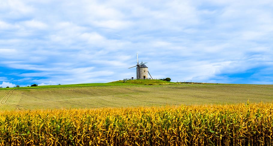 Mill, Mont Saint Michel, Clams, landscape, field, harvest, grass, green ...