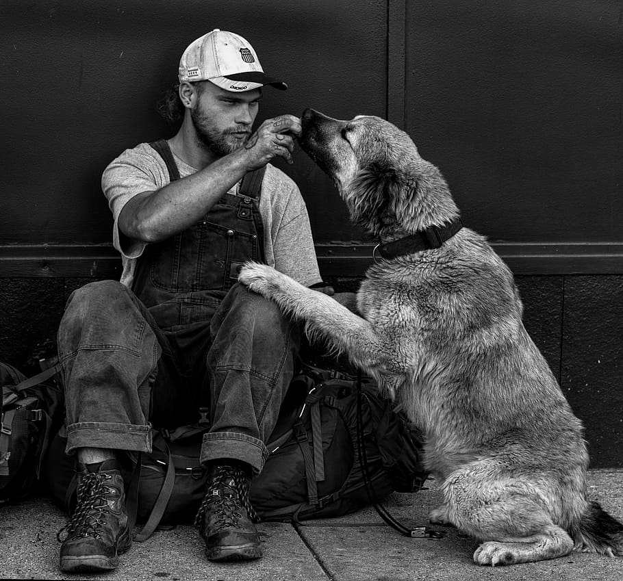 gray scale photo of person in overall jumpsuit beside large short-coated dog, gray scale, photo, person, overall, jumpsuit, short, coated, dog, people, men, man, homeless, young, male, caucasian, adult, casual, white, portrait, railrider, guy, urban, one man only, one animal, pets, only men, mature adult, HD wallpaper