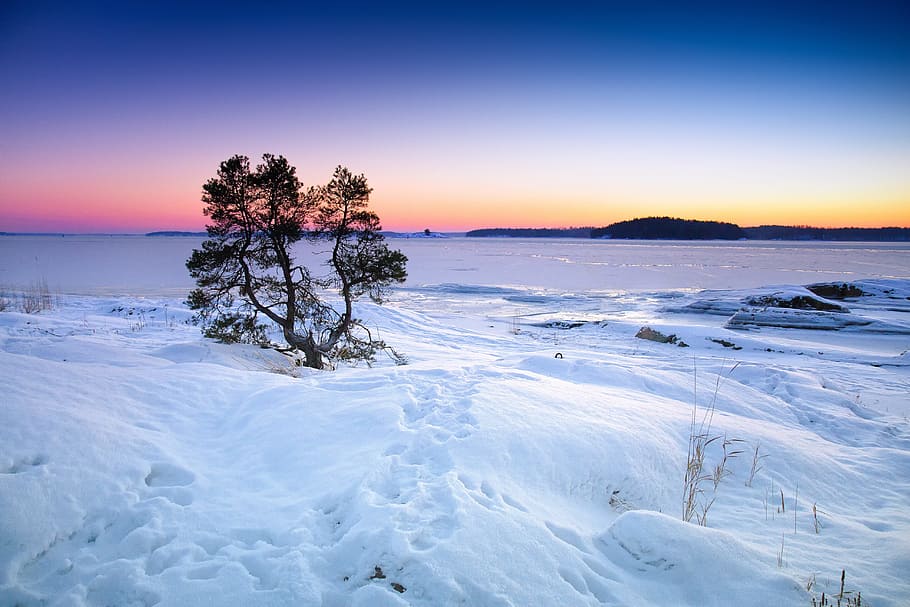 หิมะปกคลุมในชั่วโมงทองฤดูหนาวทะเลแช่แข็งหิมะต้นไม้น้ำธรรมชาติท้องฟ้าภูมิประเทศชายหาดการท่องเที่ยวชายฝั่งสีน้ำเงินกลางแจ้งหนาวพระอาทิตย์ตกดินชายฝั่งฝั่งขาวน้ำแข็งสภาพอากาศแสง , ฤดู, ฟินแลนด์, สิ่งแวดล้อม, อาร์กติก, ประเทศนอร์ดิก, อากาศขั้วโลก, หิน, ทะเล, ภูมิอากาศ, เงียบสงบ, อุณหภูมิหนาวเย็น, วอลล์เปเปอร์ HD