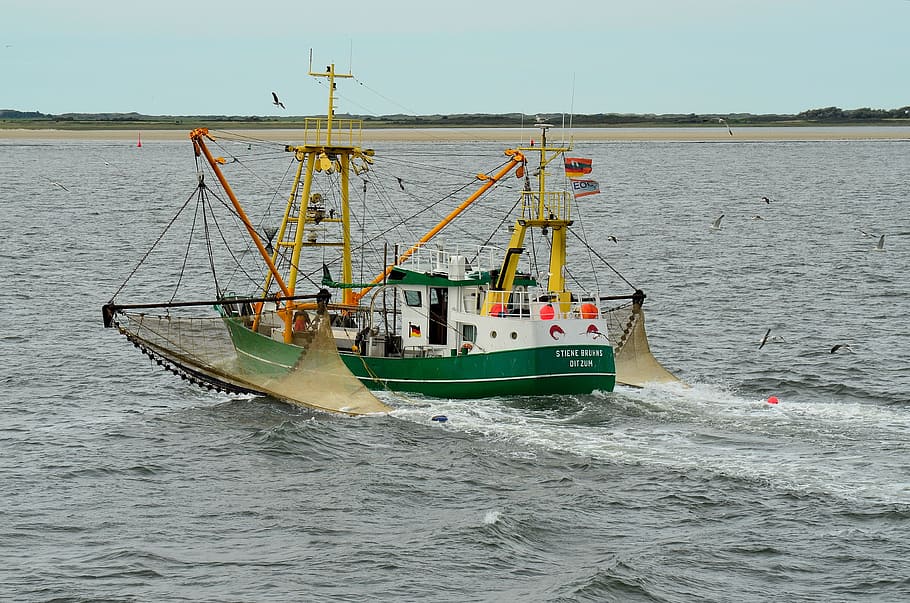 borkum, barco de pesca, pesca, barco pesquero, fischer, bota, agua, mar