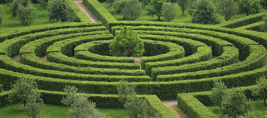 Green maze hedge, park, maze, green, HD wallpaper | Wallpaperbetter