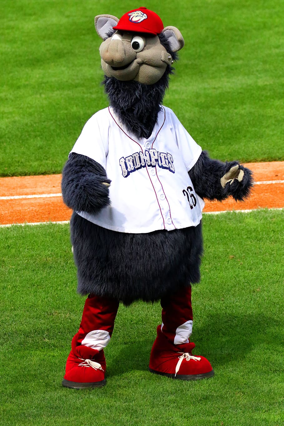 Allentown, mascot, ferrous, baseball, lehigh valley ironpigs, stadium ...