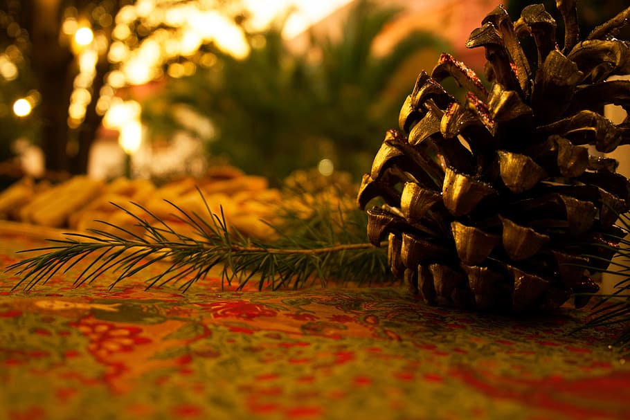 Pinecone beside pine leaf on multicolored floral textile, cone, pine